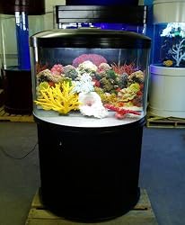 48 gallon half circle aquarium with light, filter, stand and hood