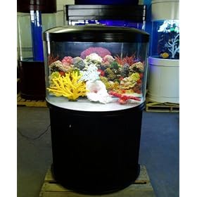 48 gallon half circle aquarium with light and filter