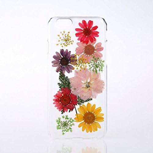 Real Pressed Flower Clear Cover Case for iPhone 6s / iPhone 6 5.7 Inch