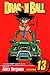 Dragon Ball vol.13