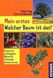 Mein erstes Welcher Baum ist das?: Unsere 50 wichtigsten B&auml;ume & Str&auml;ucher kennen lernen - Holger Haag, Sonia Schadwinkel