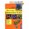 Mein erstes Welcher Baum ist das?: Unsere 50 wichtigsten B�ume & Str�ucher kennen lernen