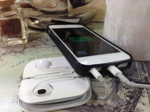 Iphone 5s, Iphone 5 Disc Jockey DJ Turntable Case, Unique EDM Novelty! Free Screen Protector!