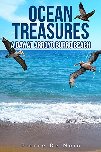 OCEAN TREASURES: A Day At Arroyo Burro Beach, by Pierre De Moin