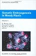 Somatic Embryogenesis in Woody Plants: Volume 4 (Forestry Sciences)