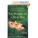 The Promise of a New Day: A Book of Daily Meditations (Hazelden Meditations)