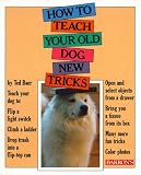 How to Teach Your Old Dog New Tricks