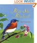 Blue Sky Bluebird