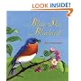 Blue Sky Bluebird