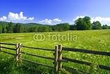 IMAGE OF Wallmonkeys Peel and Stick Wall Decals - Photo of Meadow with Fence in Sunny Day. - 60