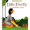 Native American Picture Books for Ages 4-8