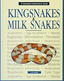 King & Milk Snakes: A Question & Answer Yearbook