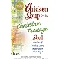 Chicken Soup for the Christian Teenage Soul (Chicken Soup for the Soul (Paperback Health Communications))