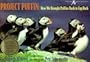 Project Puffin: How We Brought Puffins Back to Egg Rock