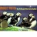 Project Puffin: How We Brought Puffins Back to Egg Rock