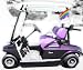 The Purple Golf Cart: Stories of an Unconventional Grandma