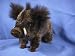 BABY BOAR PLUSH TOY 11" L