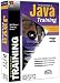 Programming in Java Training (Introduction, Intermediate, Advanced)