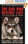The Dog Who Rescues Cats: True Story of Ginny, The