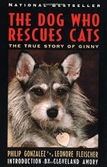 The Dog Who Rescues Cats
