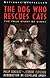 The Dog Who Rescues Cats