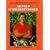 Arnold Schwarzenegger (Real-Life Reader Biography)