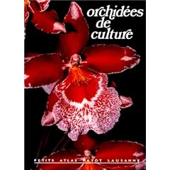 Orchid�es de culture