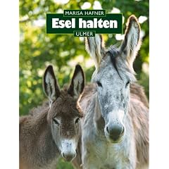 Esel halten