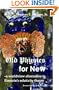 Old Physics for New: a worldview alternative to Einstein's relativity theory