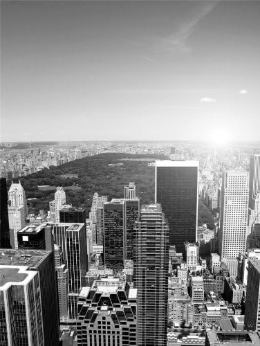 Wee Blue Coo New York City Black White Unframed Wall Art Print Poster Home Decor Premium