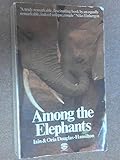 Among the elephants