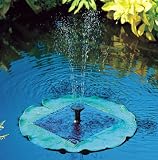 Pool Fountain