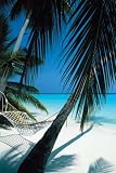 PALM VIEW BEACH HAMMOCK PARADISE 24