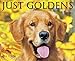 2016 Just Goldens Box Calendar