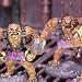 Superfigs: Alien 5 - Host Warsloth Conscripts