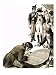 Napoleon Brought in Scholars to Solve the Secrets of the Ancient Languages of the Rosetta Stone Art Giclee Poster Print by C.l. Doughty, 18x24