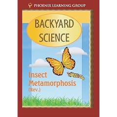 Insect Metamorphosis: Backyard Science