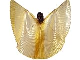 Beautiful Gold Handmade Belly Dance Costume IsIs Wings
