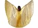 Beautiful Gold Handmade Belly Dance Costume IsIs Wings