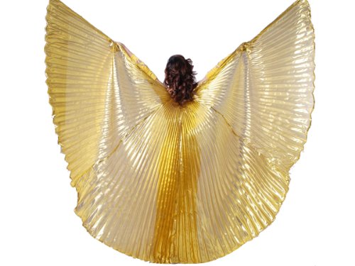 Beautiful Gold Handmade Belly Dance Costume IsIs Wings