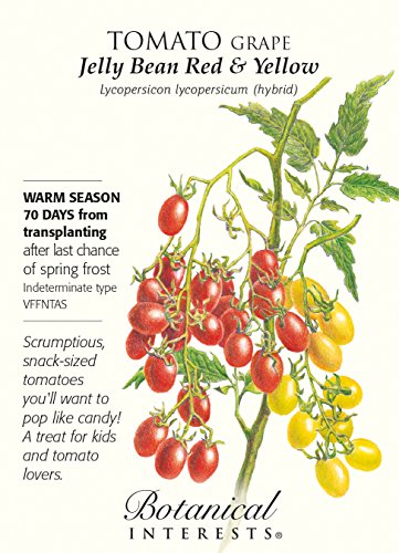 Grape Tomato Grape Tomato