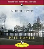 North River: A Novel