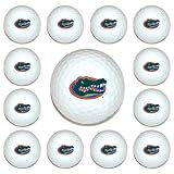 Florida Gators Team Logo Golf Ball Dozen Pack - Golf