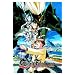 The Vision of Escaflowne: Volume 7 [DVD]