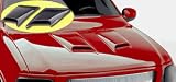 Auto Ventshade Company 982002 Hood Scoop