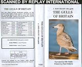The Gulls of Britain (VHS)