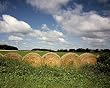 Hay Rolls, Rural America Farmland Photograph - Beautiful 16x20-inch Photographic Print by Carol M. Highsmith