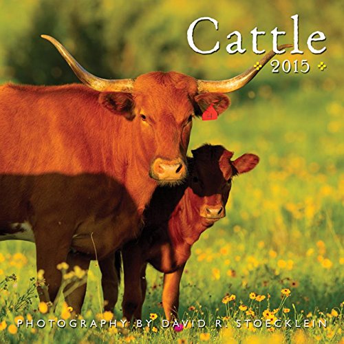2015 Cattle Calendar