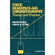 Static Headspace—Gas Chromatography: Theory and Practice