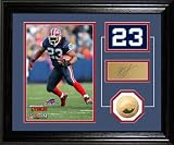 Highland Mint NFL Buffalo Bills Marshawn Lynch Player Pride Desk Top Photomint